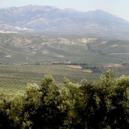 Cortijo El Derramadero Βίλα Villacarrillo Εξωτερικό φωτογραφία