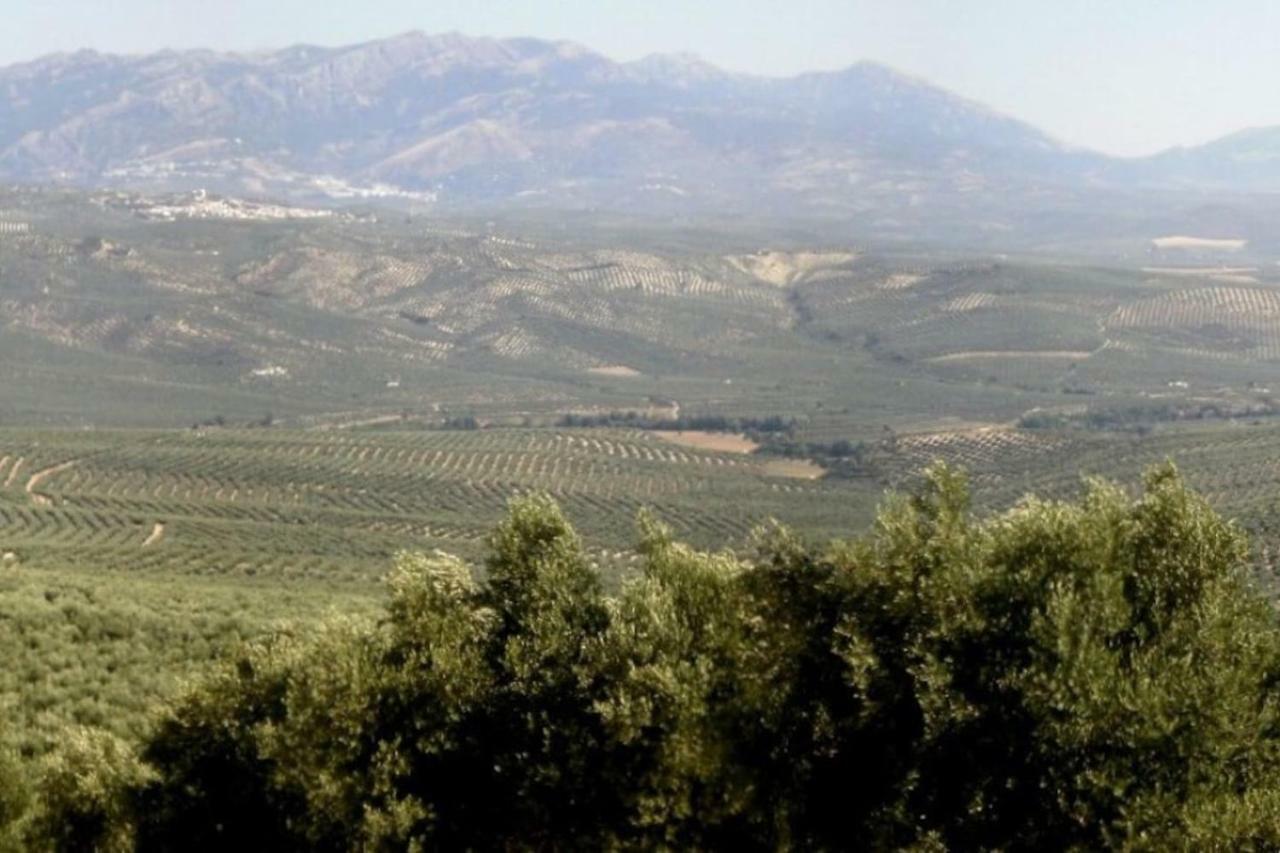 Cortijo El Derramadero Βίλα Villacarrillo Εξωτερικό φωτογραφία